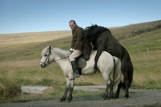 Of_Horses_and_Men_main