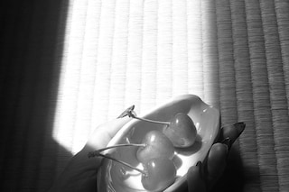 Ekaterina Bazhenova-Yamasaki’s Memory Turned Into Flesh