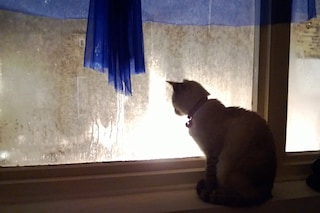 WP_20121206_008