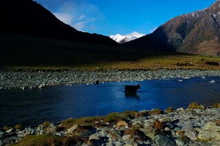 WP_20130306_17_41_47_Pro__highres