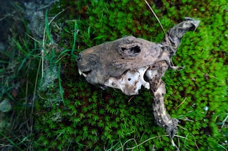 WP_20130306_18_33_05_Pro__highres