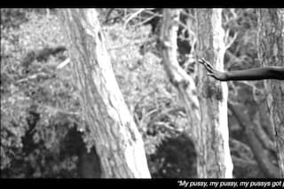 Chi Chi _ May May - Still from Stone Dove (1)