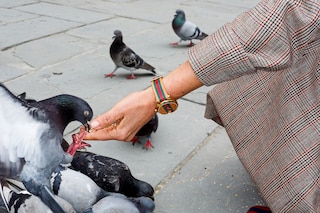 gucci martin parr time to parr campaign watches