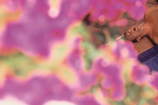 Jeff_Burton_bougainvillea