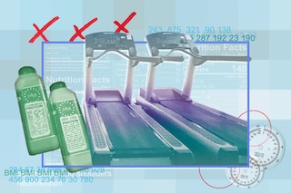 The Model - Body Image