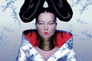 Bjork Homogenic