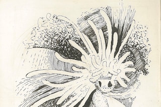 343DA2BD-C872-46DE-B3FA-562F1001C101_1_201_a