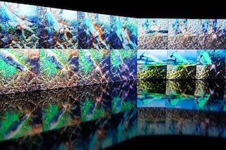 Deep Meditations, Memo Akten