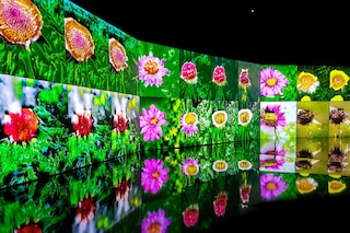 Deep Meditations, Memo Akten