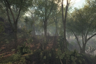 MarkTribe_BlackCreek
