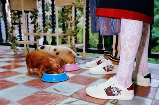 gucci year of the pig alessandro michele frank lebon 