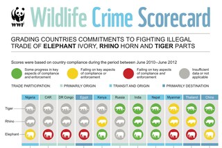 Wildlife crime