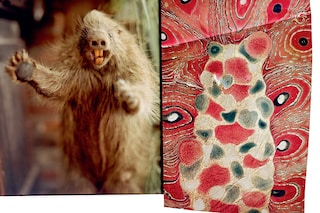 web Porcupine by Chloe Sells