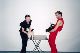 Cats Learning How to Fly for Dazed &amp; Confused