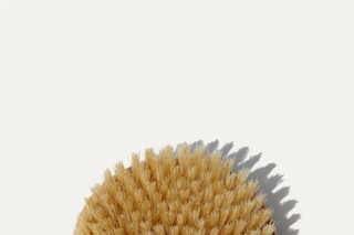 Everyday Oil Dry Brush
