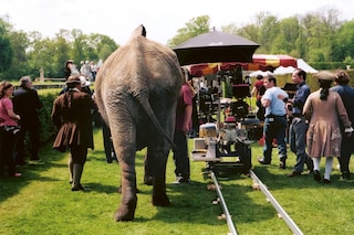 Marie Antoinette - elephant