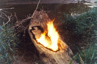 GL 4175-B2 - Arbol de la Vida log and gunpowder