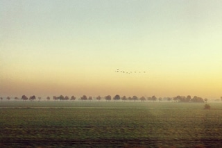 landscapes2-2