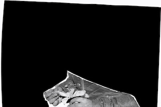(7) Press Image l Geraldo de Barros l Sobras 1996-