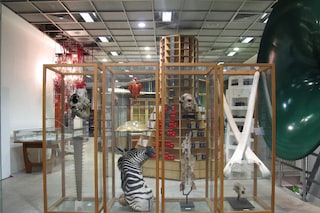 Ground Floor (2)