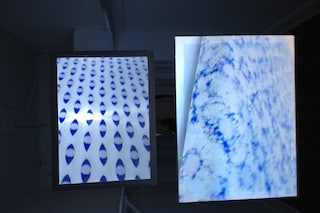 00_00_00_00_Installation_AuroraPellizzi