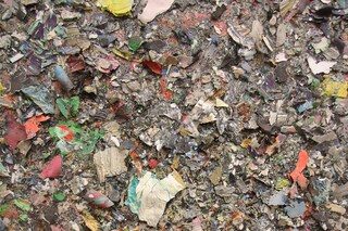 3 Kadar Brock (detail)