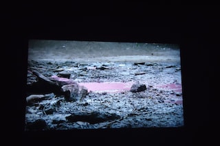 2 Pierre Huyghe