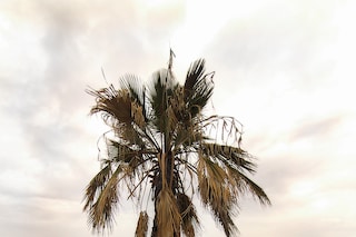 IMG_8160n