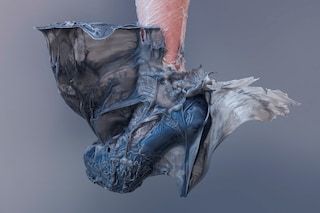 Bart Hess