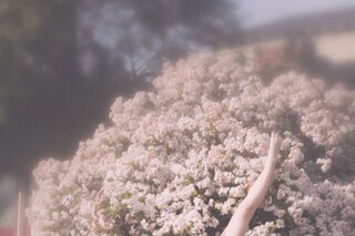 Twenty Thirteen