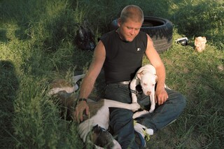 Young Blood, Old Shot