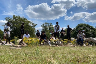 Dazed100 Flock Together 1