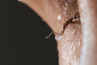 Screen Shot 2016-09-06 at 12.57.24