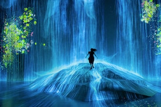 Visit Earth
