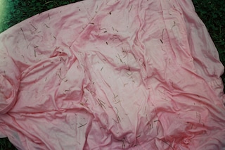 Chimera film Sam Guest Julia Baylis