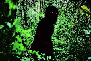 UNCLE BOONMEE WHO CAN RECALL HIS PAST LIVES (Apichatpongg)