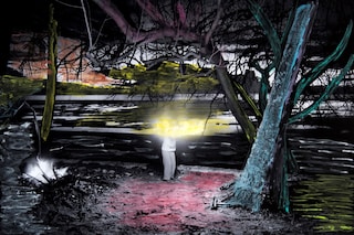 Sanne de Wilde, The Island Of The Colourblind