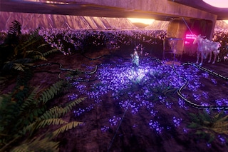 METAMORPHOSIS TRASHYMUSE x ELECTRONICBEATS