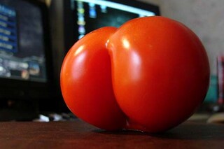 Screen Shot 2016-02-02 at 14.23.55