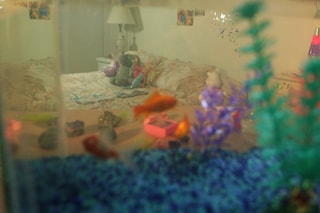 Still from Seashells