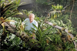 via www.amateurgardening.com