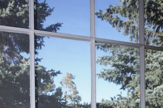  Live Wild *ANNAHAHOUTOFF_Americana4