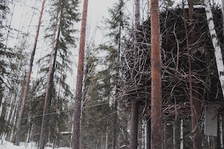 Vivrant Camp