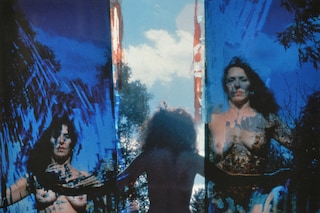 Carolee Schneemann, Nude onTracks 5, 1975-2005, Ar
