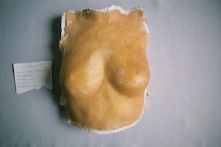 Esmay Wagemans, “Second Skin”