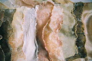 Esmay Wagemans, “Second Skin”