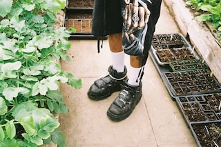 Deijuvhs shoes in herb garden