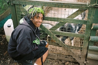 Deijuvhs hog
