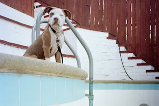 Tino Razo’s Party In The Back exclusive