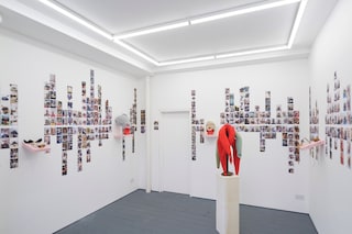 Nasir Mazhar I Always Wanted To Show You Mine art show
